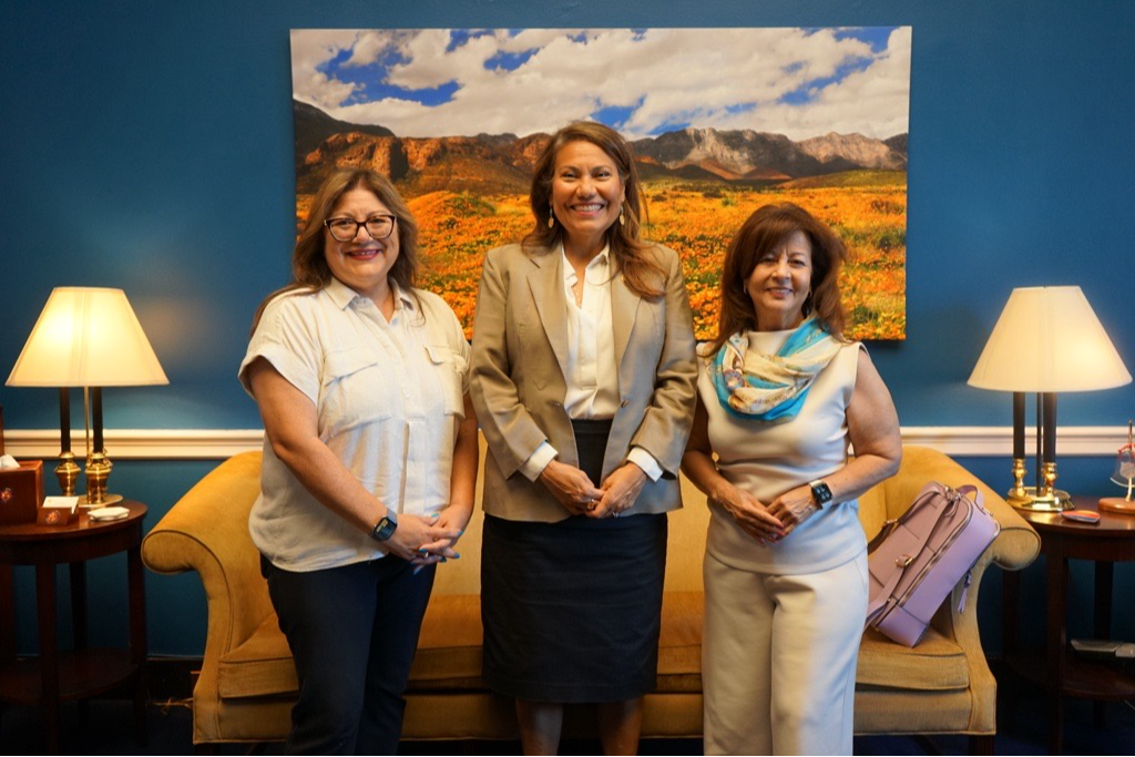 TX Sexual Assault and Domestic Violence Coalitions
